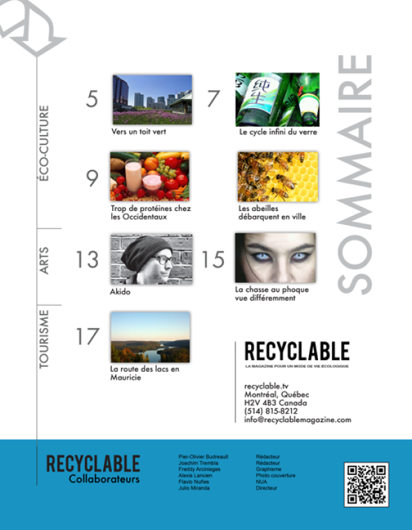 recyclable magazine image
