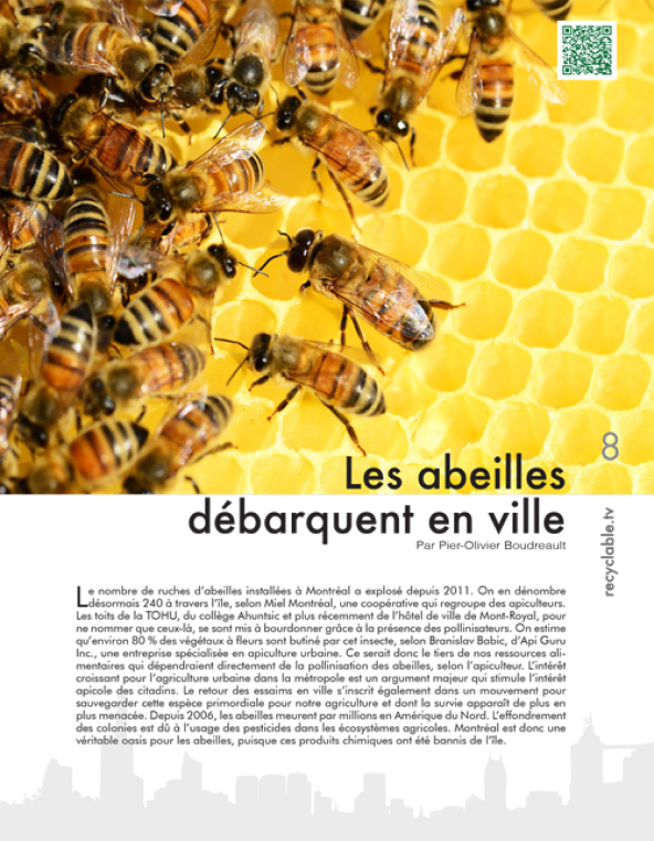 recyclable magazine image
